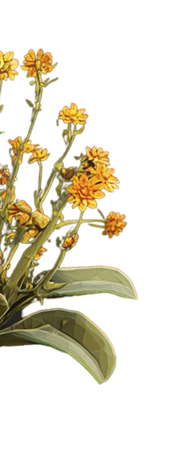 Parallax illustration